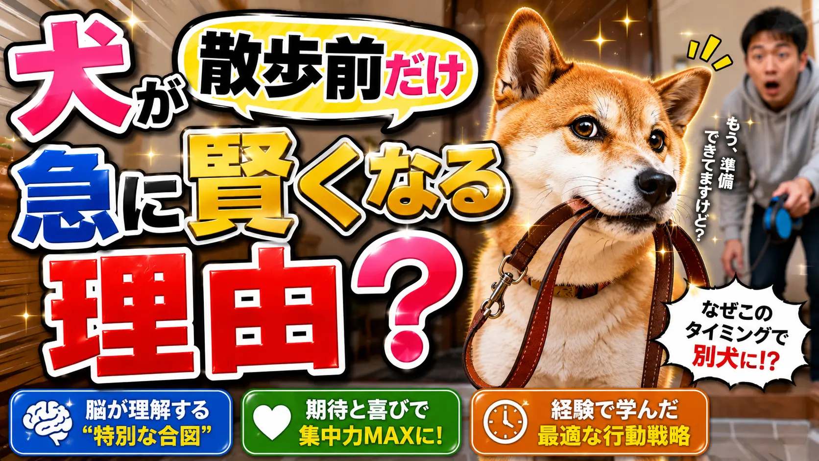 【謎仕様】犬が散歩前だけ急に賢くなる理由